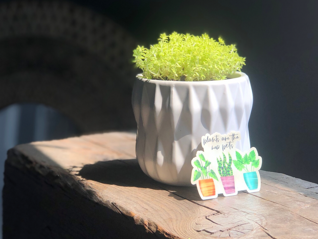 Plants Are The New Pets Sticker